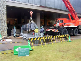 宮崎県博物館化石採取工事