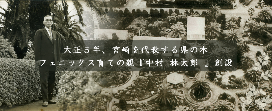 大将年宮崎を代表する県の木フェニックス育ての親「中村林太郎」