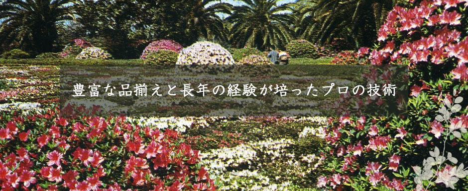 豊富な品ぞろえと長円の経験が培ったプロの技術